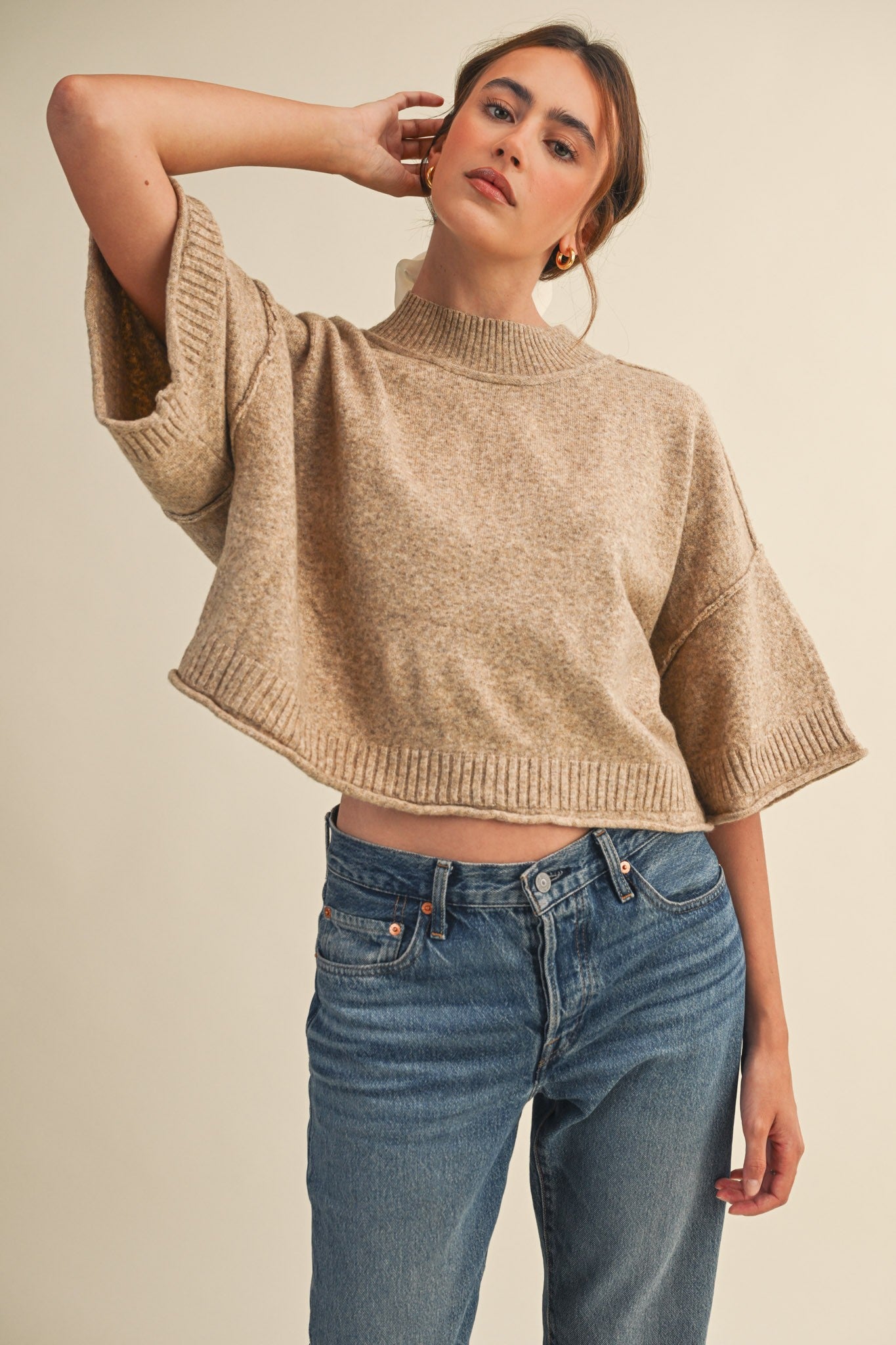 Marled Knit Mock Neck Short Sleeve Sweater - Mocha Mousse