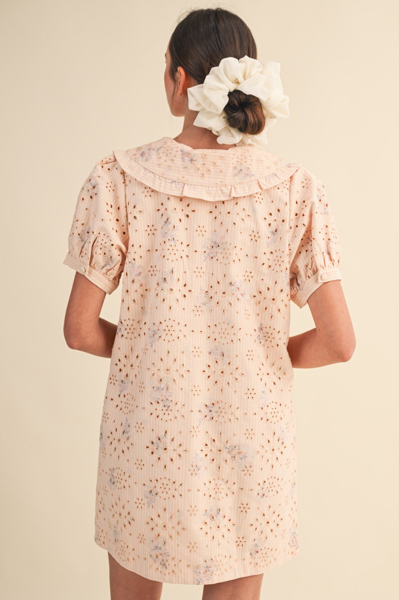 Doll Collar Floral Eyelet Striped Mini Dress - Pink Stripe