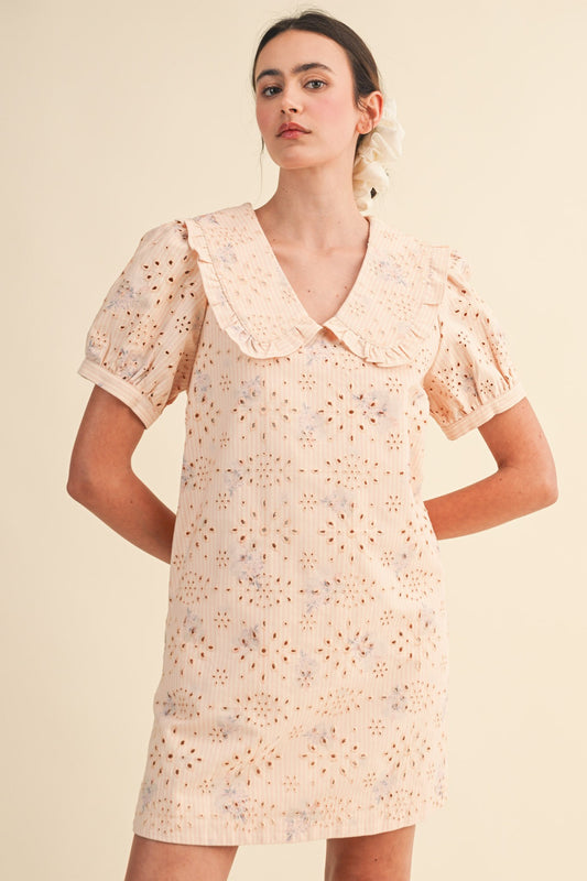 Doll Collar Floral Eyelet Striped Mini Dress - Pink Stripe